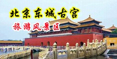 馒头逼导航中国北京-东城古宫旅游风景区