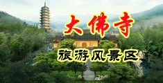 一级黄色操B大中国浙江-新昌大佛寺旅游风景区